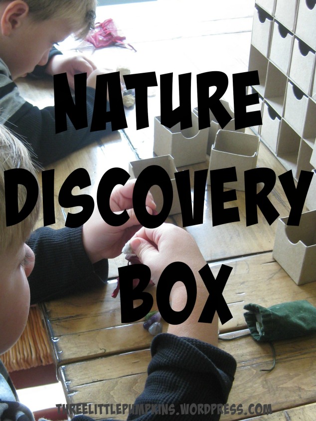 naturediscoverybox©c.stoufflet